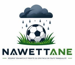 Logo Nawettane